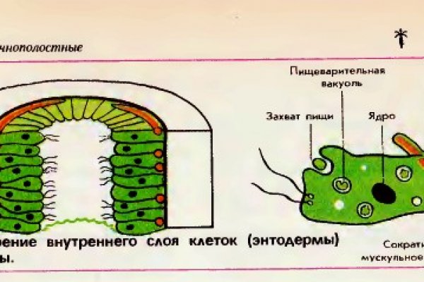 Кракен сайт маркетплейс ссылка