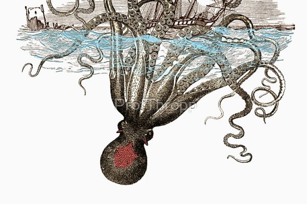 Kraken at17