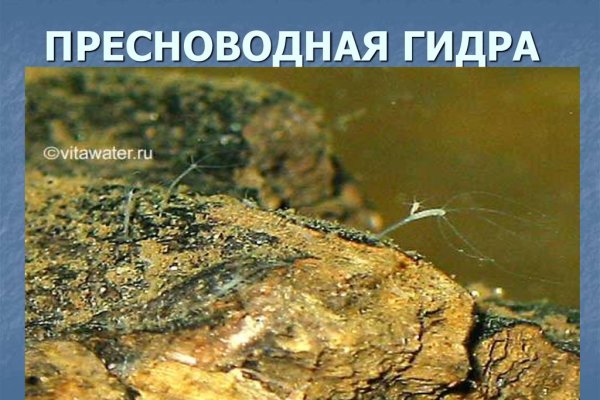 Кракен маркетплейс в москве