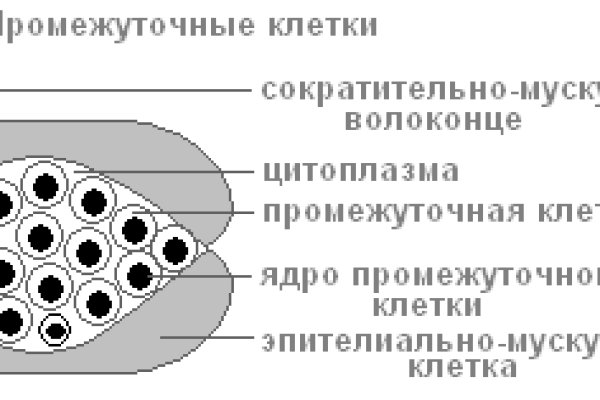 Кракен невозможно зарегистрировать пользователя