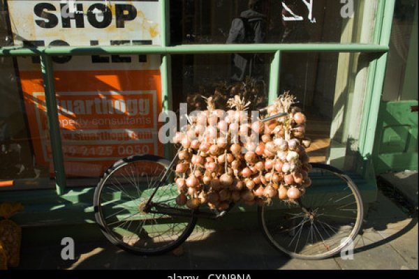 Кракен зеркало store
