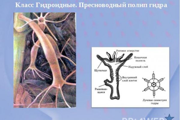 Kraken это современный маркетплейс